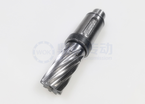 YD-LL-12 motor shaft